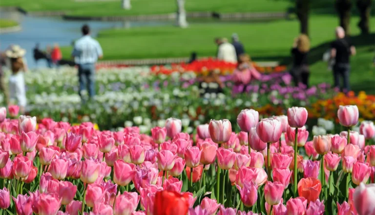 Best Garden Tours United States: The 2026 Definitive Systems Guide