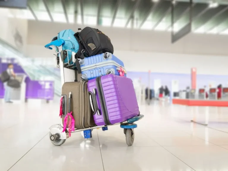 Best Luggage Delivery Plans: A Definitive 2026 Logistics Guide
