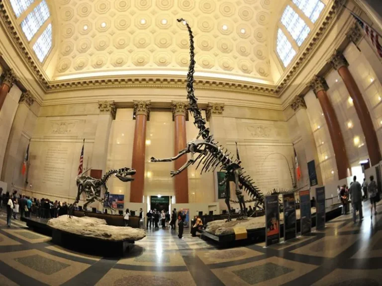 Top Museum Tours in America: The 2026 Definitive Systems Guide